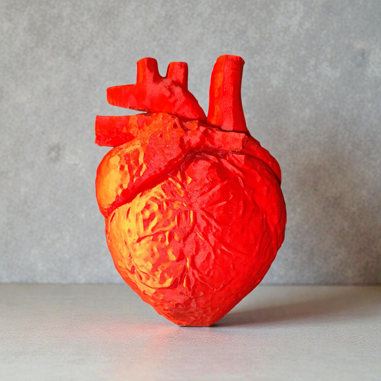Anatomisches Herz 3D Druck - Vergrößertes Anatomie Modell Medizin Deko 19cm