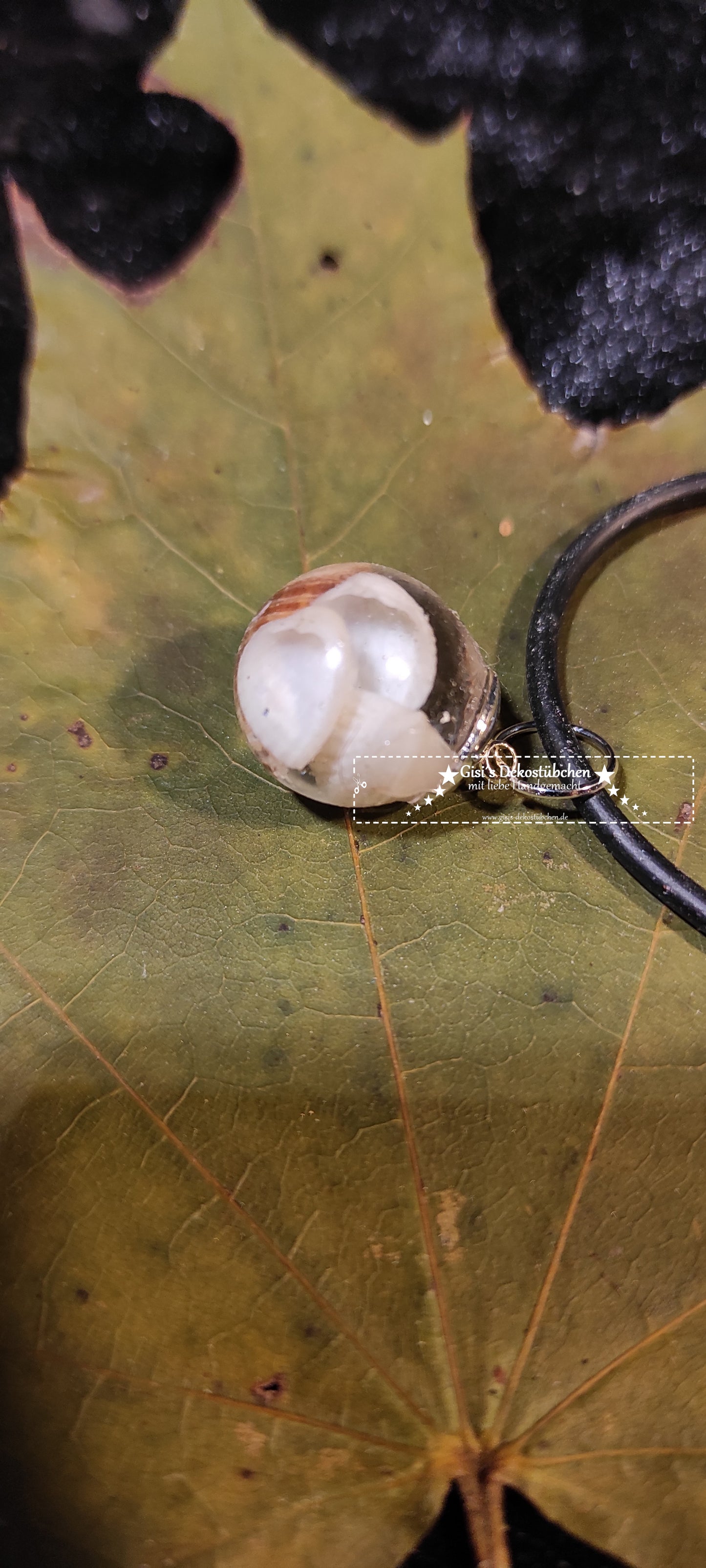 Schmuck Kette Kettenanhänger Kugel Muschel Geschenk Natur