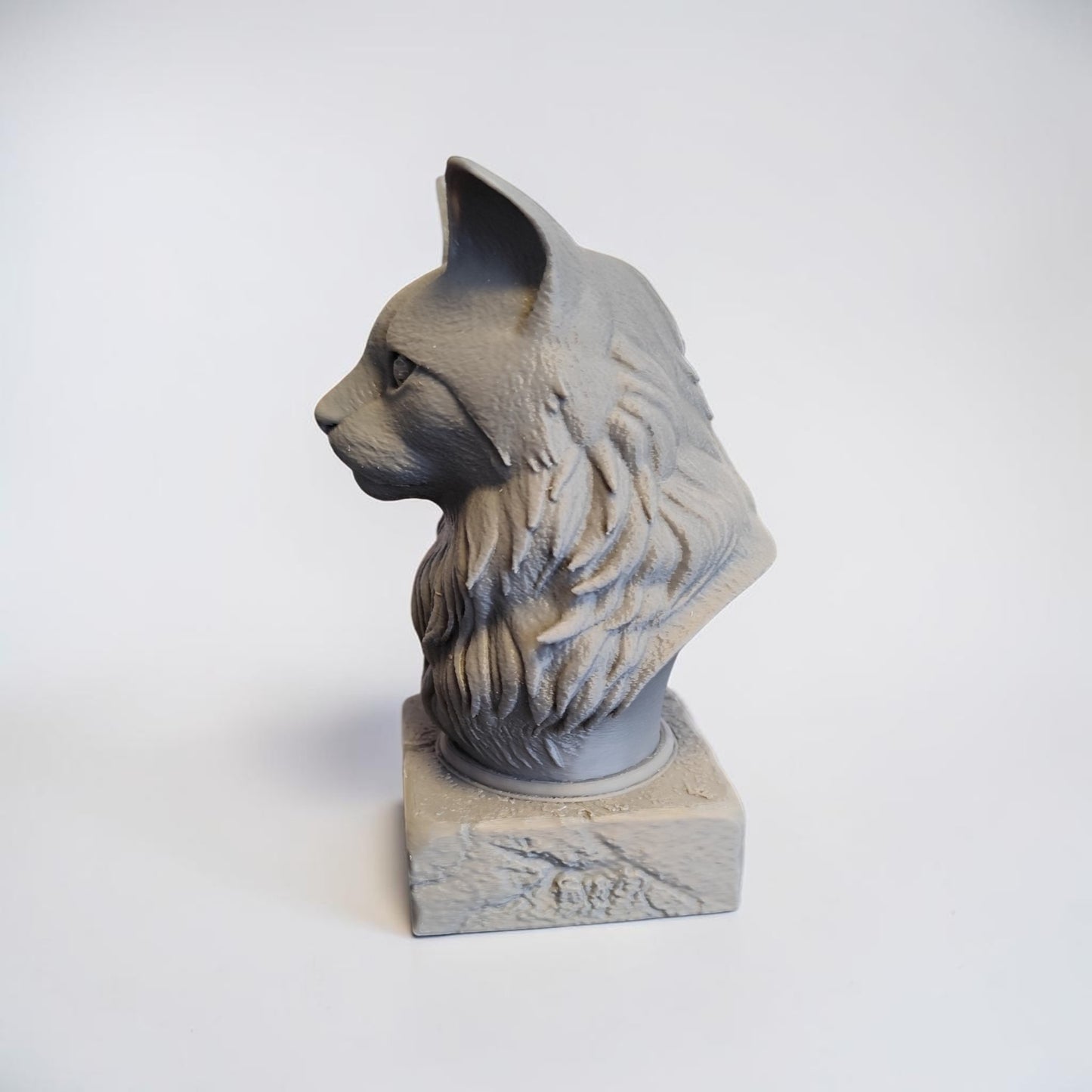 3D Maine Coon Büste – individuell personalisierbar
