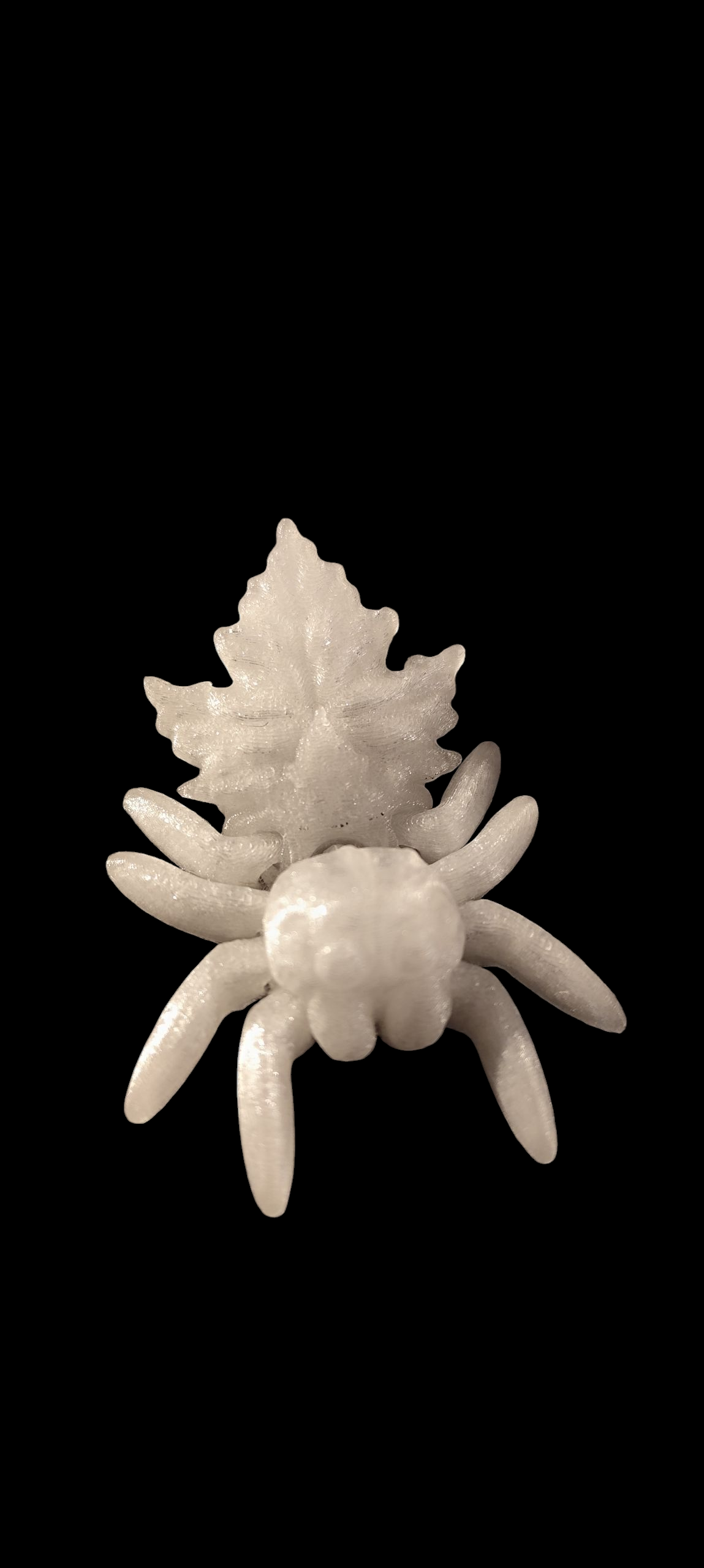 3D gedruckte Spinne – niedliche Figur aus PLA – 3 Varianten – Wunschfarbe – Cinderwing3D Original