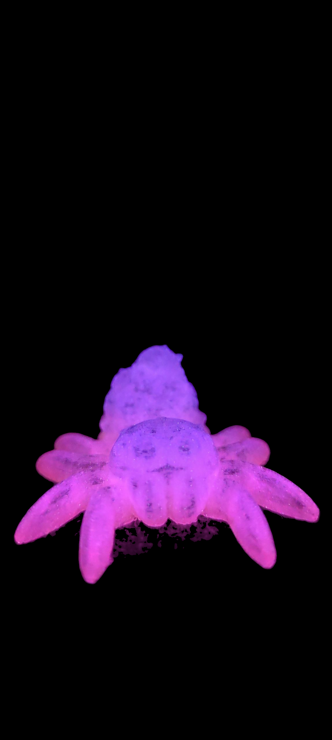 3D gedruckte Spinne – niedliche Figur aus PLA – 3 Varianten – Wunschfarbe – Cinderwing3D Original