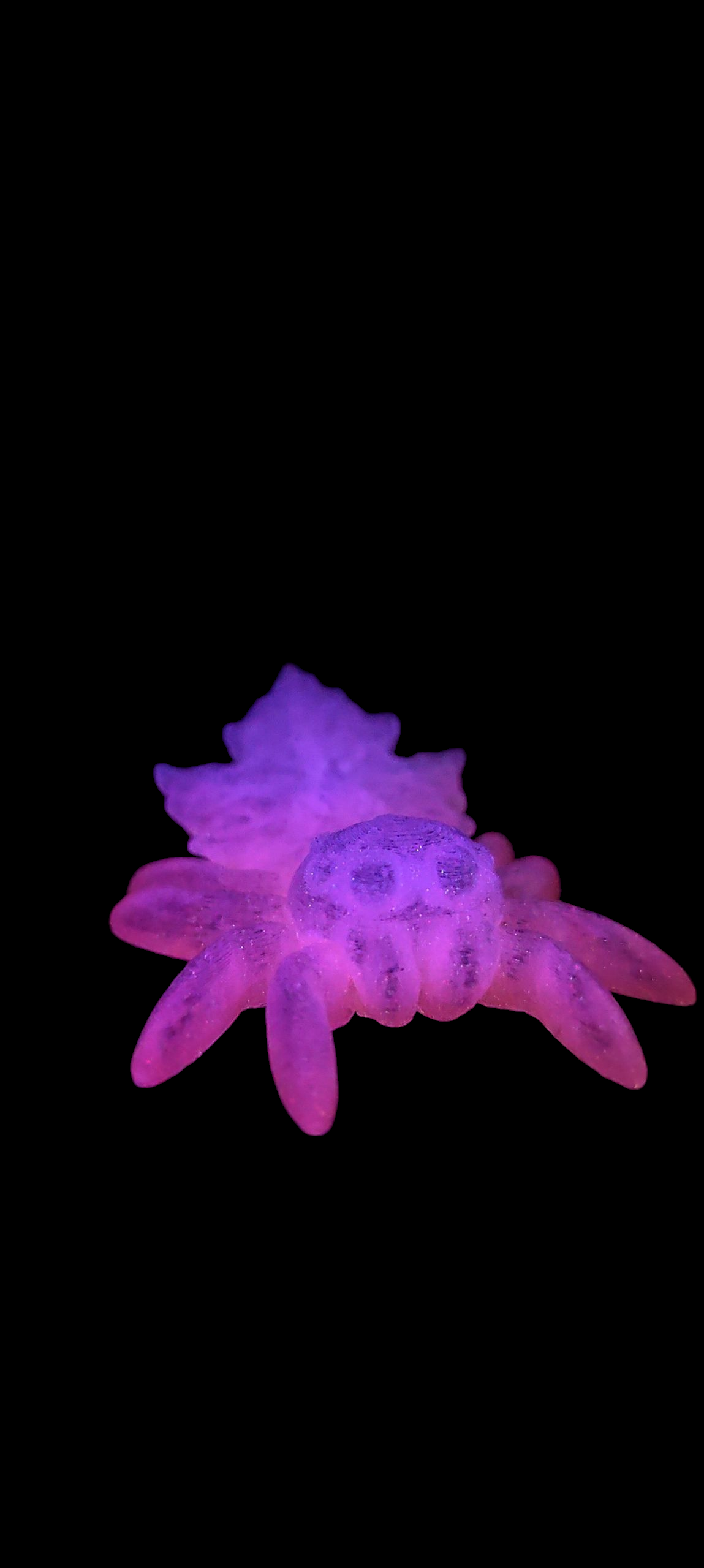 3D gedruckte Spinne – niedliche Figur aus PLA – 3 Varianten – Wunschfarbe – Cinderwing3D Original