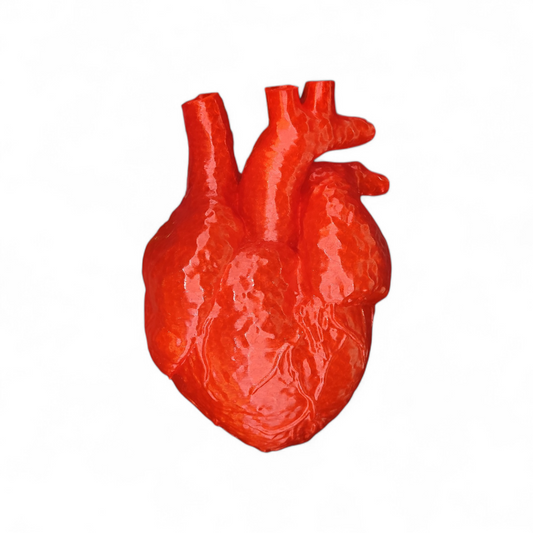 Anatomisches Herz 3D Druck - Vergrößertes Anatomie Modell Medizin Deko 19cm