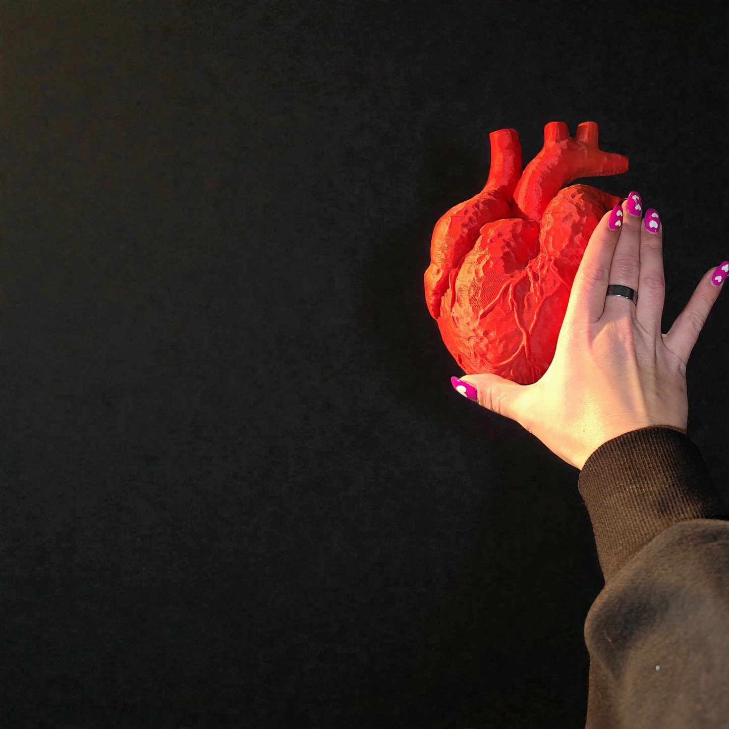 Anatomisches Herz 3D Druck - Vergrößertes Anatomie Modell Medizin Deko 19cm