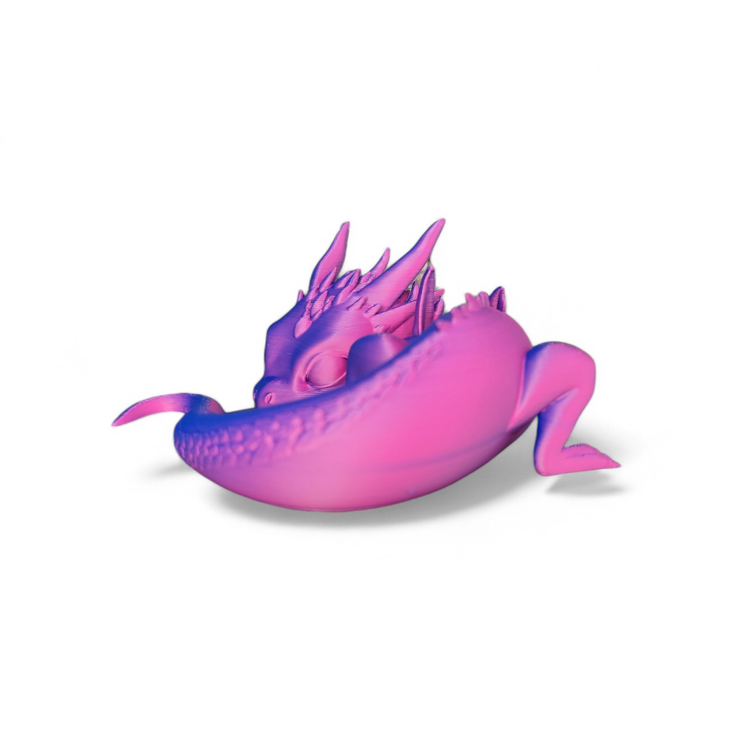 Babydrache, Drachen