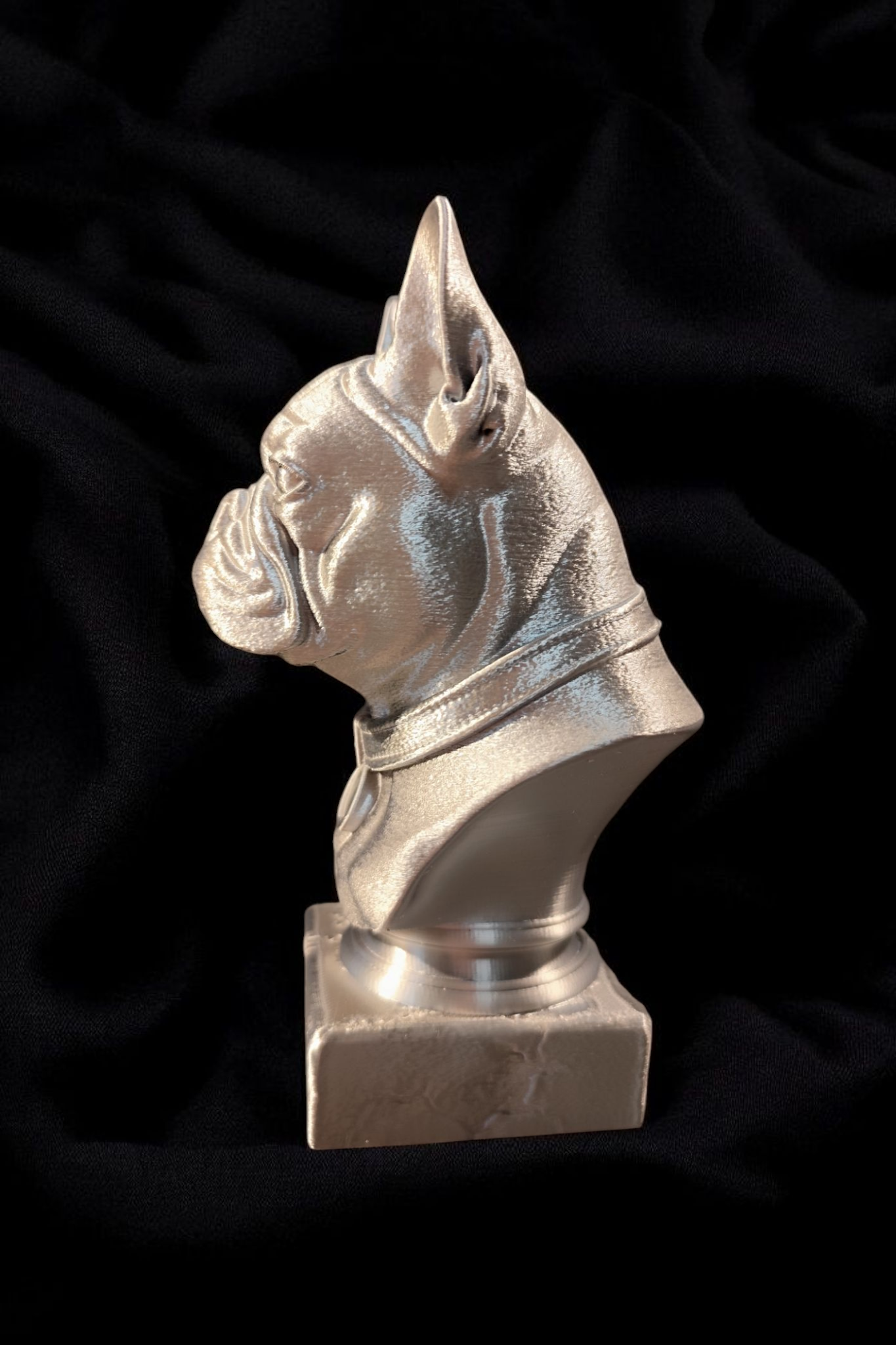 Französische Bulldogge Büste