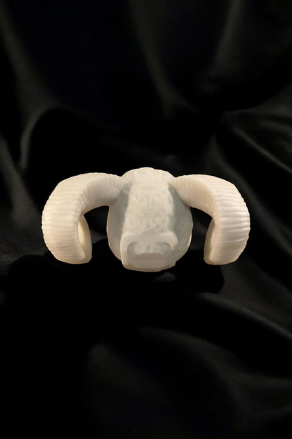 Gruseliger Totenkopf mit Hörnern – Deine neue Deko für dunkle Nächte!