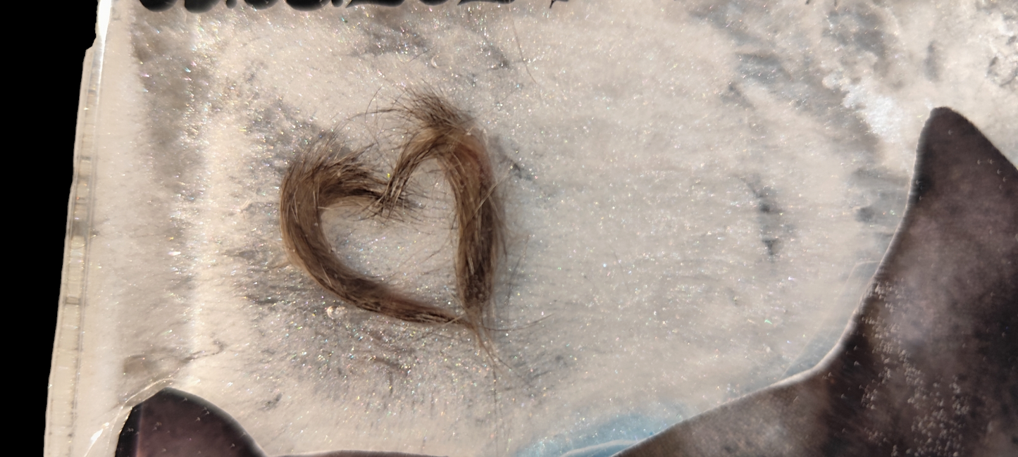 Herz zum Aufstellen mit Haaren, Zahn, Asche oder Krallen, Foto deines Tieres zur Erinnerung