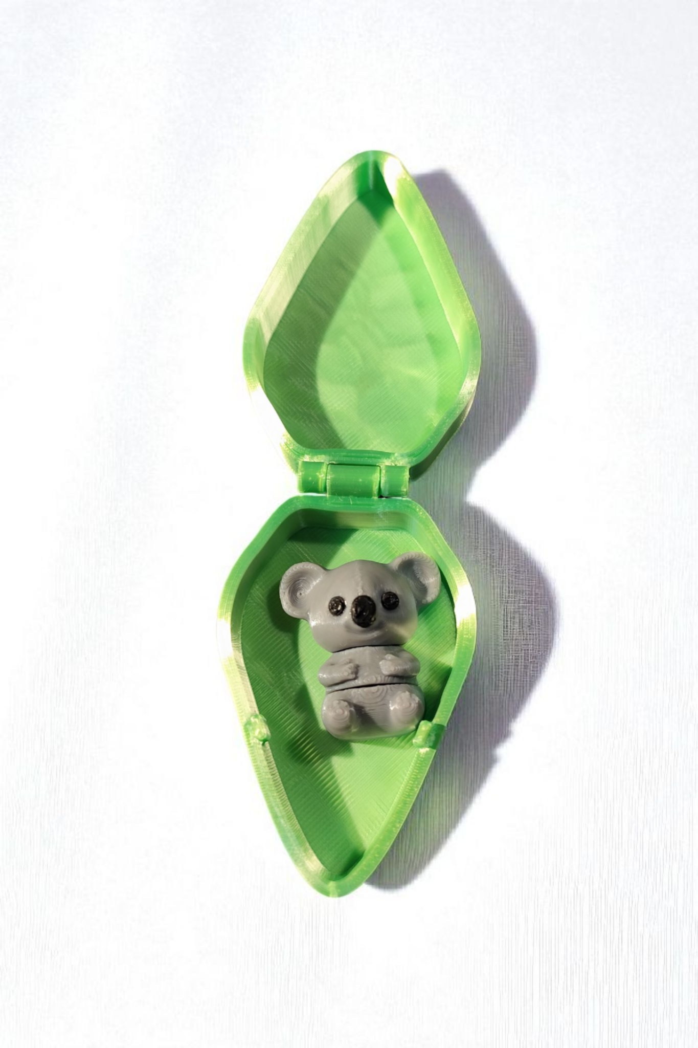 Koala mit Eukalyptusbox