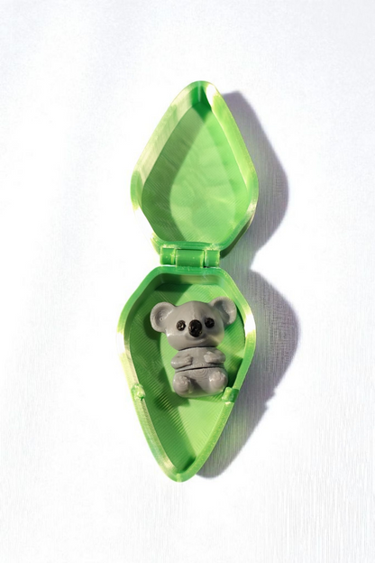 Koala mit Eukalyptusbox