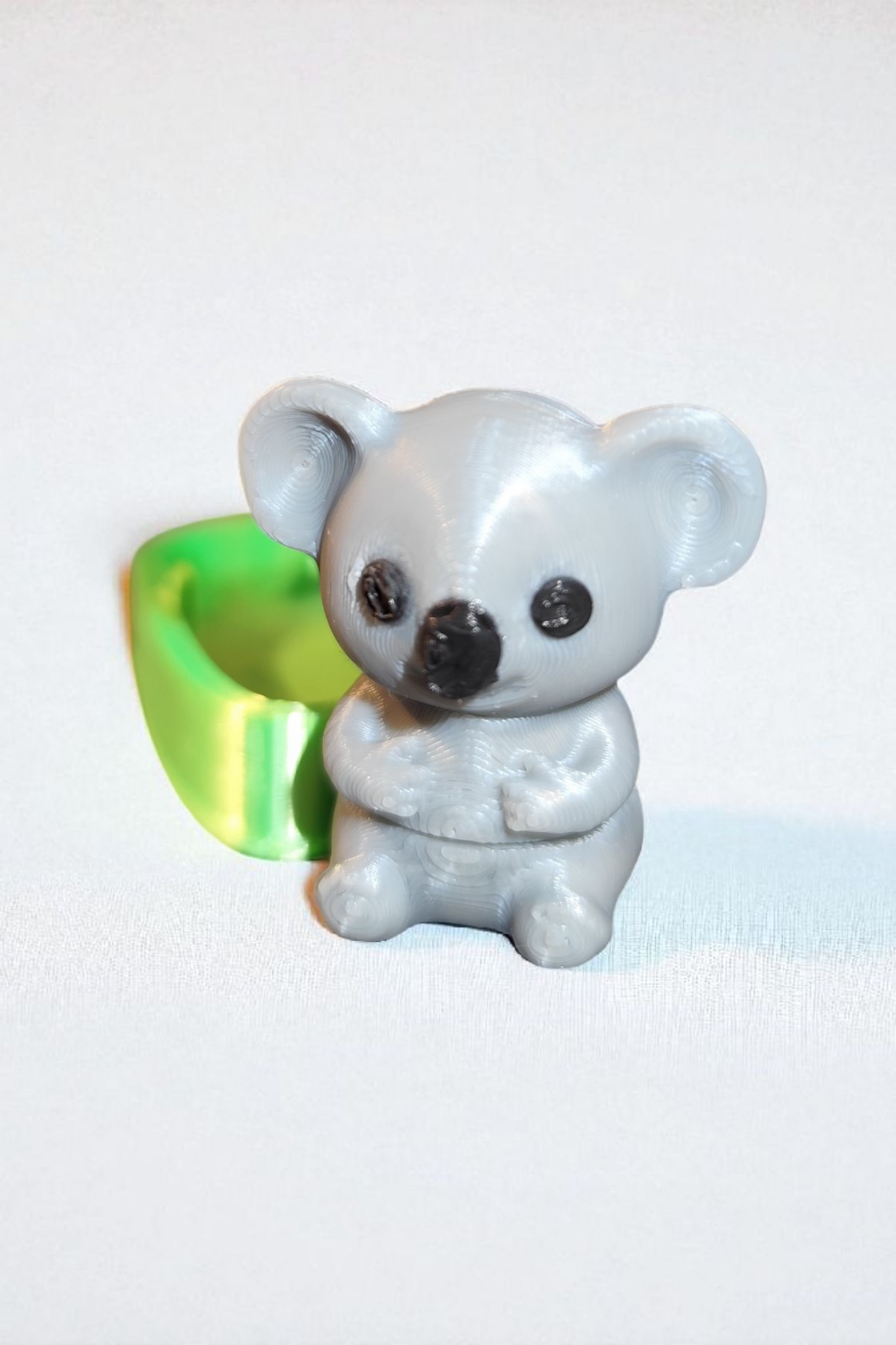 Koala mit Eukalyptusbox