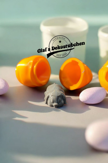 Mini Hase in Karottenbox