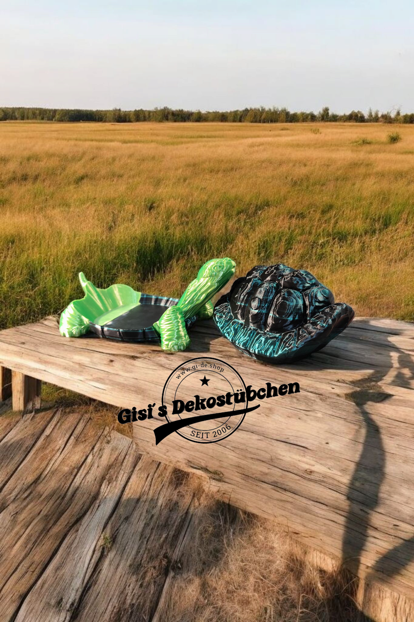 Schildkröte mit geheimen Panzer