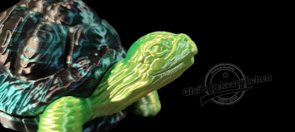 Schildkröte mit geheimen Panzer