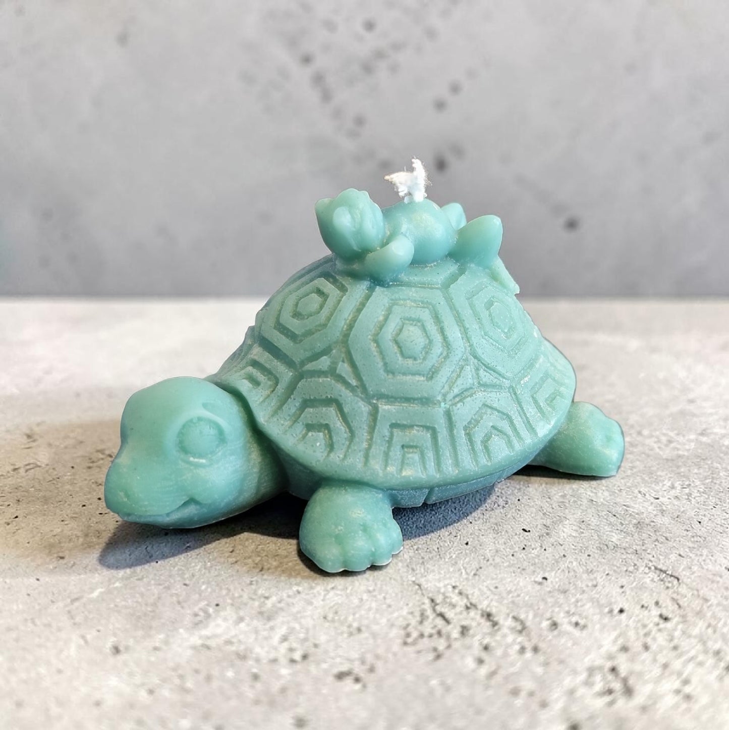 Schildkrötenkerze mit Frosch