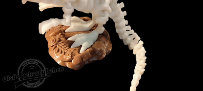 Skelett Spinosaurus - Bewegliche 3D Dino Figur | Gelenkiges Dinosaurier Spielzeug