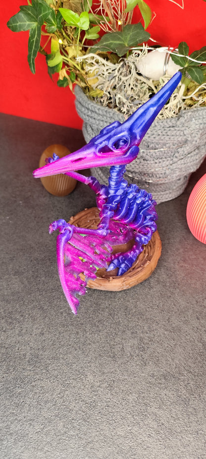 Skelett Pteranodon mit Nest und Eiern 3D