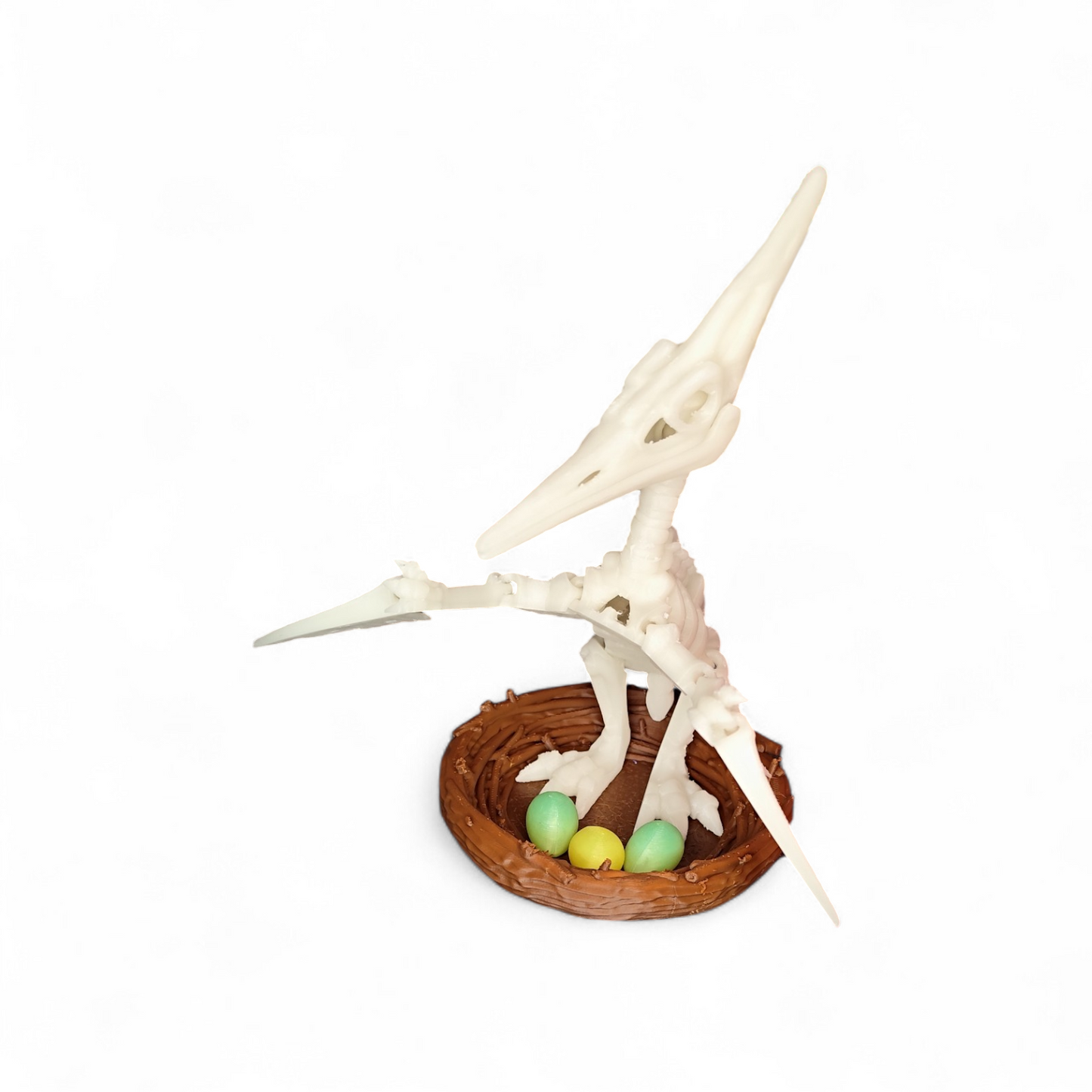 Skelett Pteranodon mit Nest und Eiern 3D