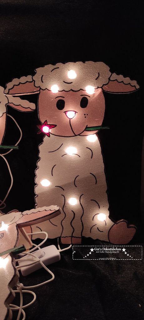 Süsses Schaf Nachtlicht Schäfchen+ Namen mit LED 30x20cm