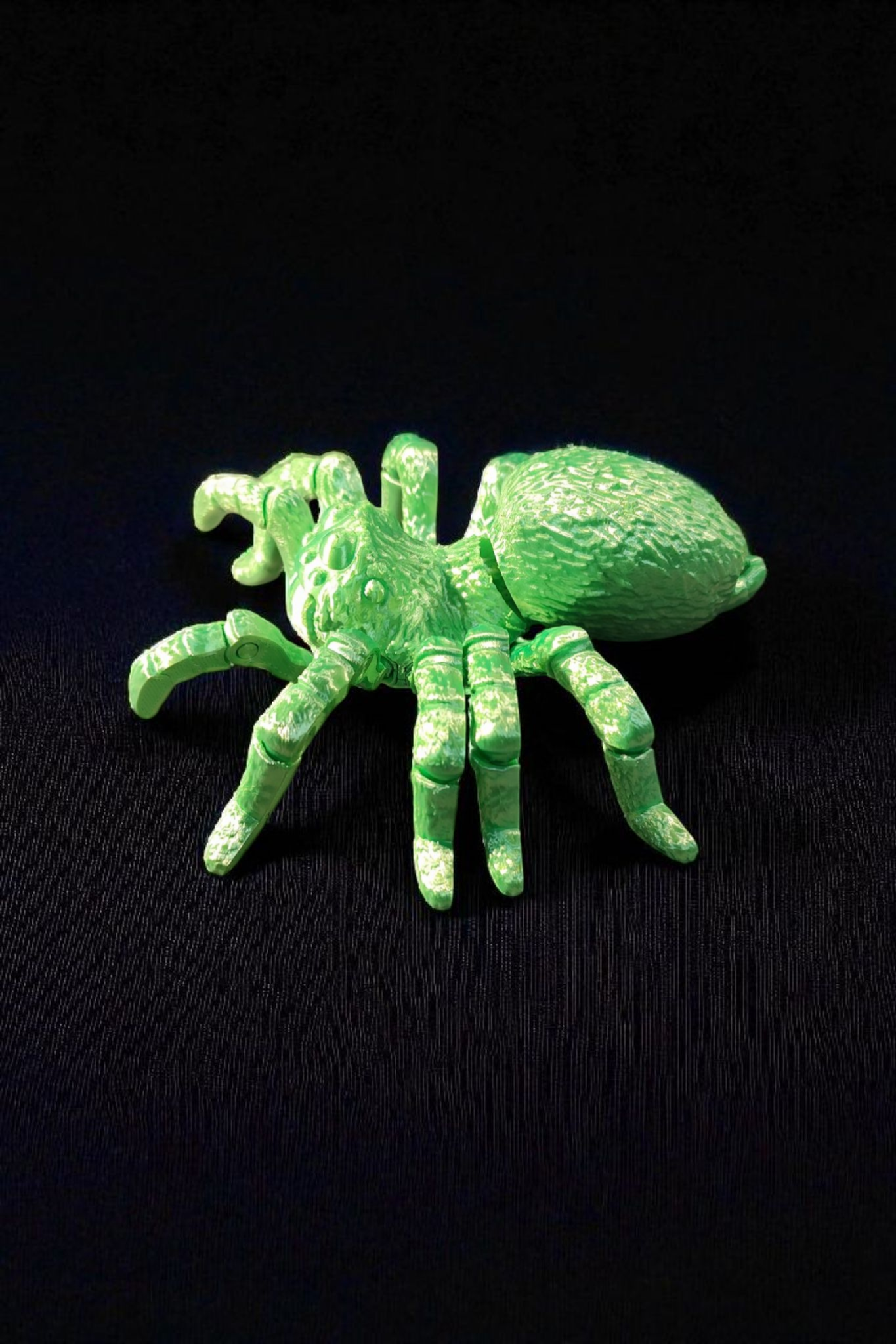 Vogelspinne 3D Gedruckt Fidget Flexibel