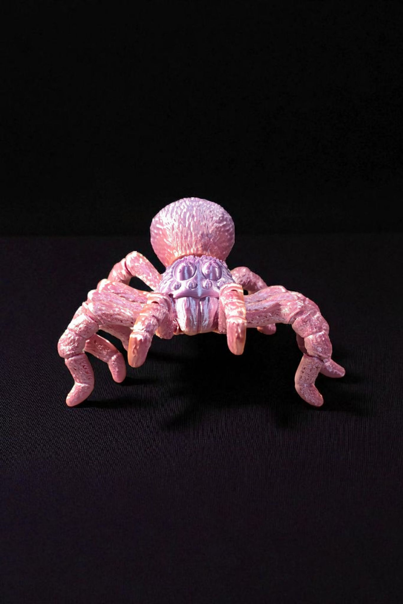 Vogelspinne 3D Gedruckt Fidget Flexibel