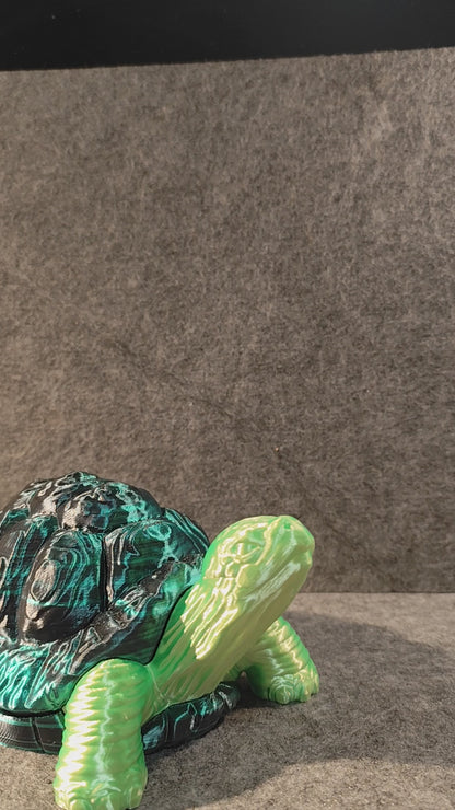 Schildkröte mit geheimen Panzer