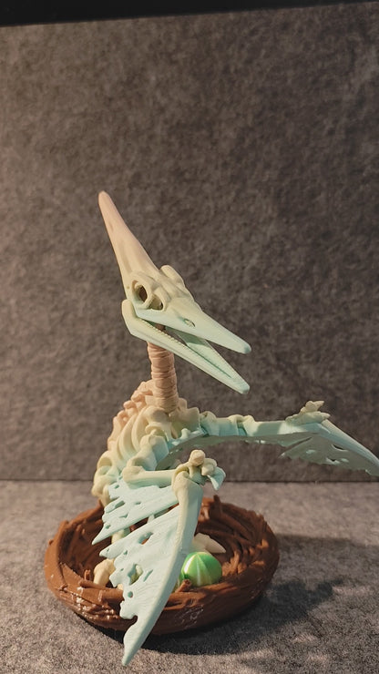 Skelett Pteranodon mit Nest und Eiern 3D